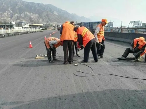 潼关道路桥梁病害治理